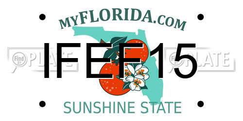 IFEF15 Florida License Plate