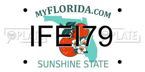 IFEI79 Florida License Plate