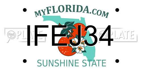 IFEJ34 Florida License Plate