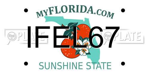 IFEL67 Florida License Plate