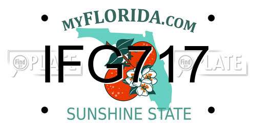 IFG717 Florida License Plate