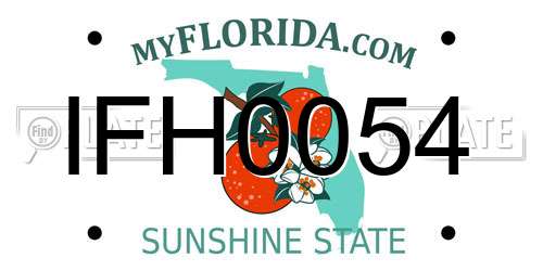 IFH0054 Florida License Plate