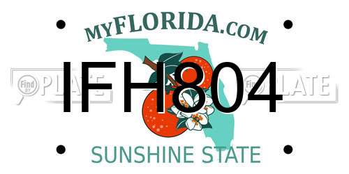 IFH804 Florida License Plate