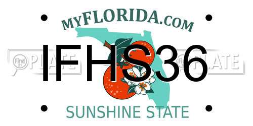 IFHS36 Florida License Plate