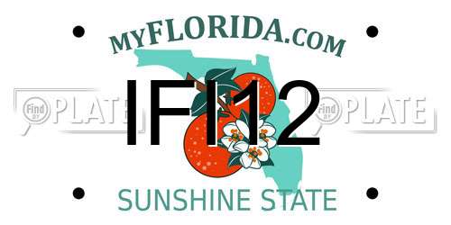 IFI12 Florida License Plate