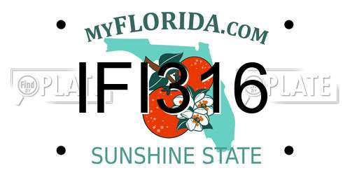 IFI316 Florida License Plate