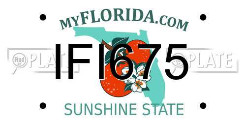 IFI675 Florida License Plate