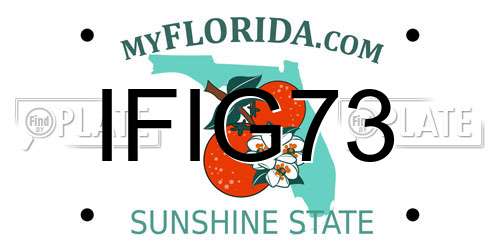 IFIG73 Florida License Plate