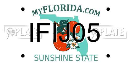 IFIJ05 Florida License Plate