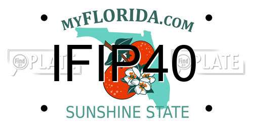 IFIP40 Florida License Plate