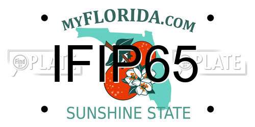 IFIP65 Florida License Plate