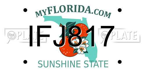 IFJ817 Florida License Plate