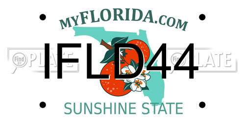 IFLD44 Florida License Plate