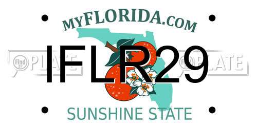 IFLR29 Florida License Plate