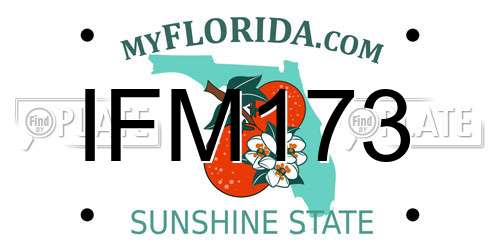 IFM173 Florida License Plate