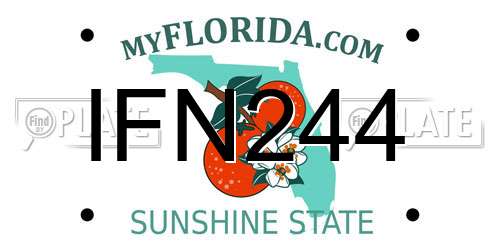 IFN244 Florida License Plate