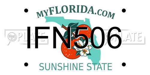 IFN506 Florida License Plate