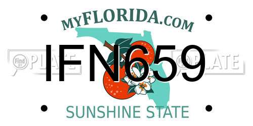 IFN659 Florida License Plate