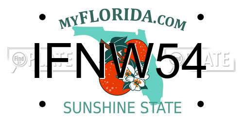 IFNW54 Florida License Plate
