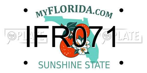 IFR071 Florida License Plate
