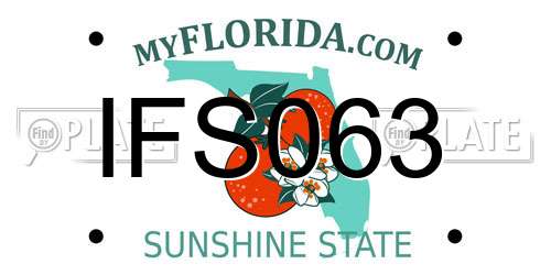 IFS063 Florida License Plate