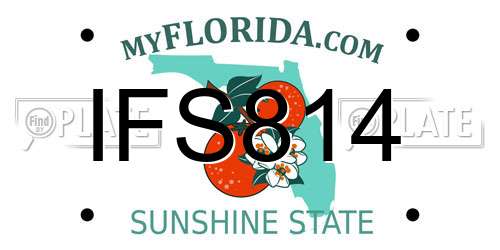 IFS814 Florida License Plate