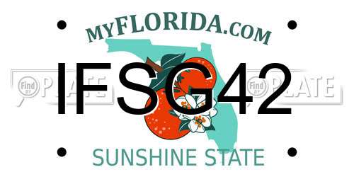 IFSG42 Florida License Plate