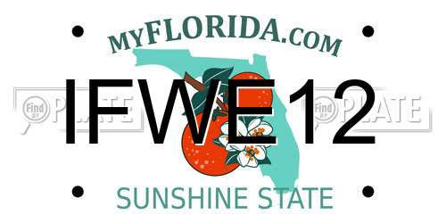 IFWE12 Florida License Plate