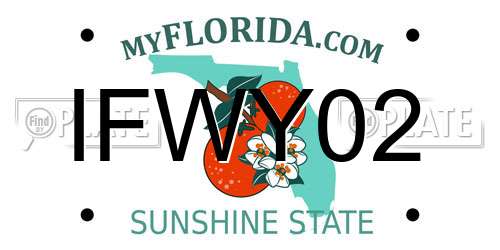 IFWY02 Florida License Plate