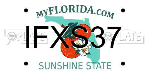 IFXS37 Florida License Plate