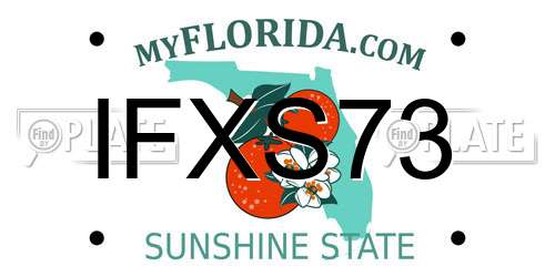 IFXS73 Florida License Plate