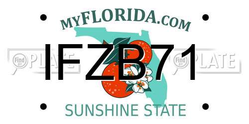 IFZB71 Florida License Plate