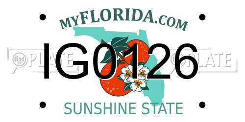 IG0126 Florida License Plate