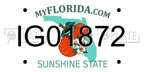 IG01872 Florida License Plate
