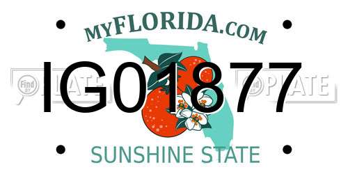 IG01877 Florida License Plate