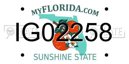 IG02258 Florida License Plate