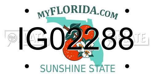 IG02288 Florida License Plate
