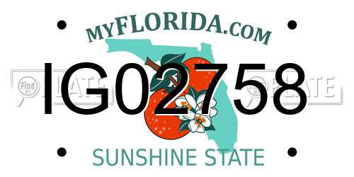 IG02758 Florida License Plate