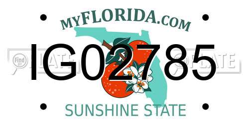 IG02785 Florida License Plate