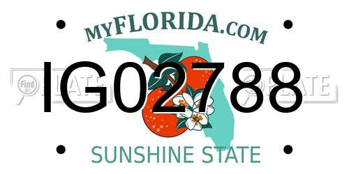 IG02788 Florida License Plate