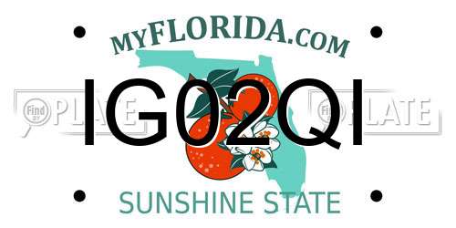 IG02QI Florida License Plate