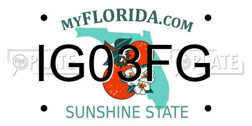 IG03FG Florida License Plate