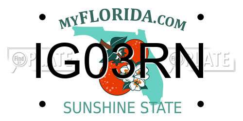 IG03RN Florida License Plate