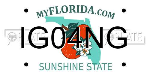 IG04NG Florida License Plate