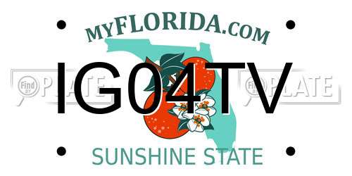IG04TV Florida License Plate