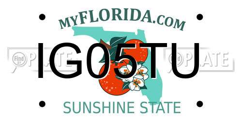 IG05TU Florida License Plate