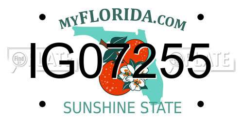 IG07255 Florida License Plate