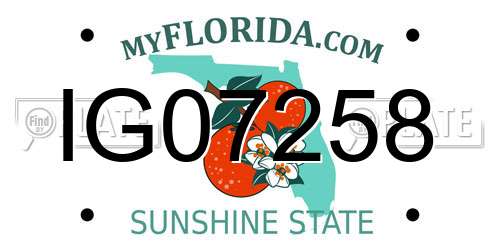 IG07258 Florida License Plate