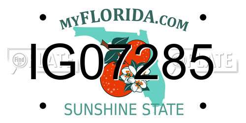 IG07285 Florida License Plate