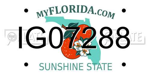 IG07288 Florida License Plate